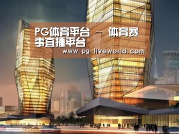 案例展示三