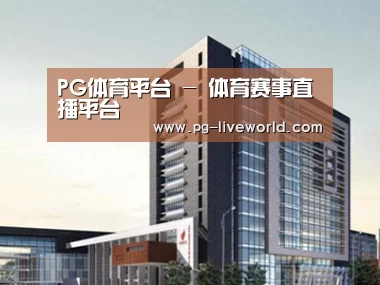 案例展示七