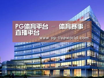 案例展示五