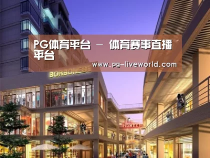 案例展示一