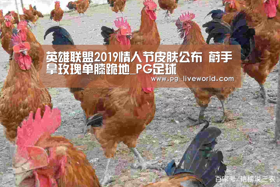 PG篮球