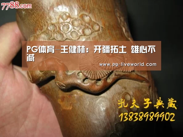 PG体育