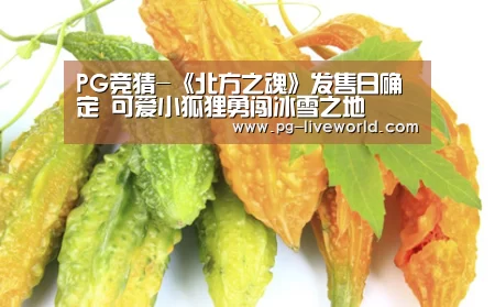 PG竞猜-《北方之魂》发售日确定 可爱小狐狸勇闯冰雪之地(图1) PG体育