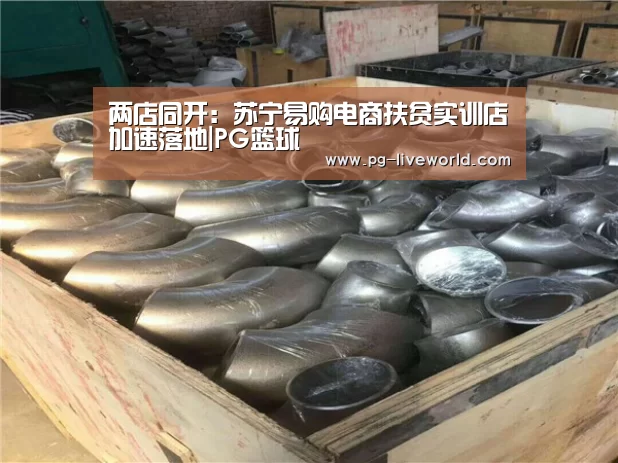 两店同开:苏宁易购电商扶贫实训店加速落地|PG篮球(图1) PG体育
