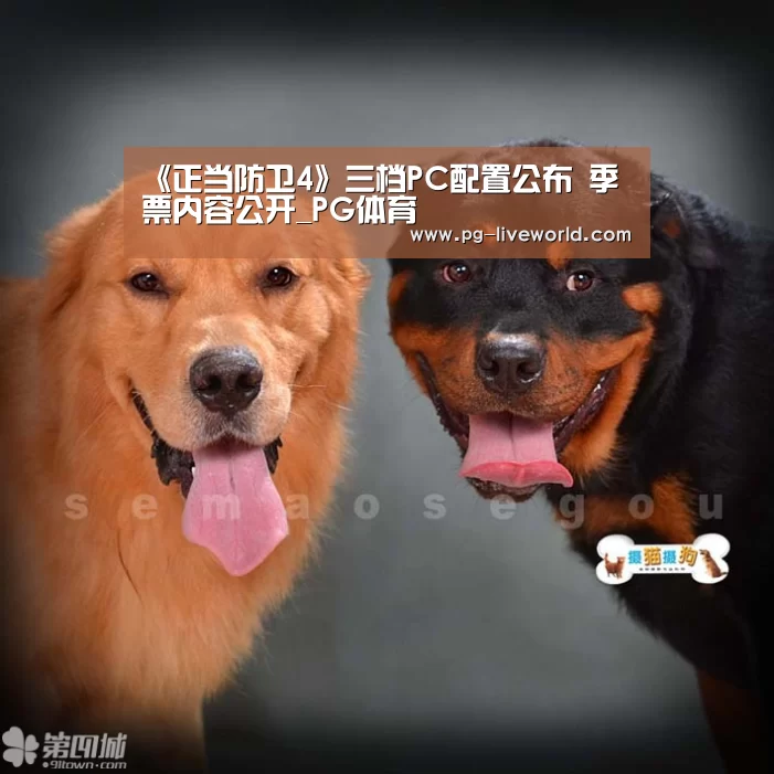 PG篮球