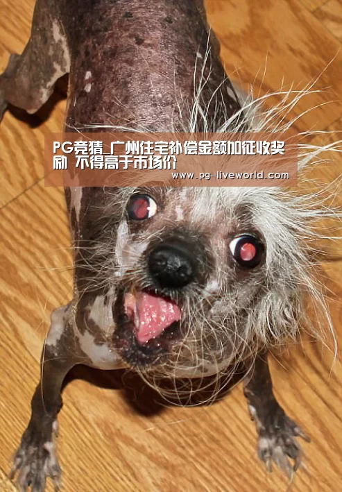 PG足球