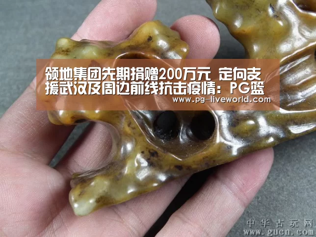 领地集团先期捐赠200万元 定向支援武汉及周边前线抗击疫情:PG篮球(图1) PG足球