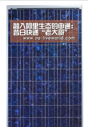 融入阿里生态的申通:昔日快递“老大哥”的“复兴路”-PG体育(图1) PG竞猜